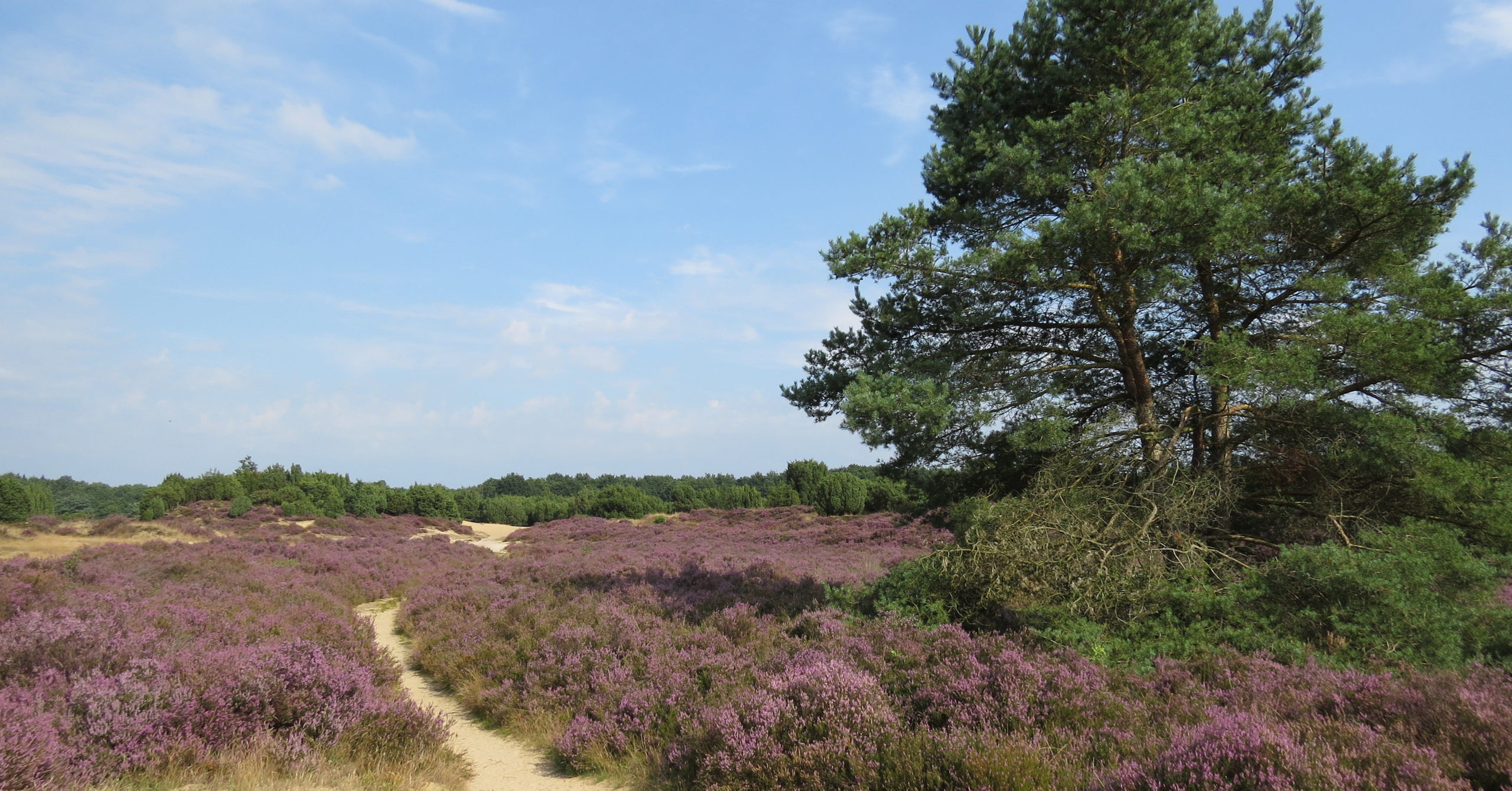 Wandeling Mantingerzand