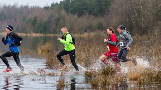 natuur-trailrun-Martin-Knegtcopyright-in-de-foto-vermelden-e1502821714161